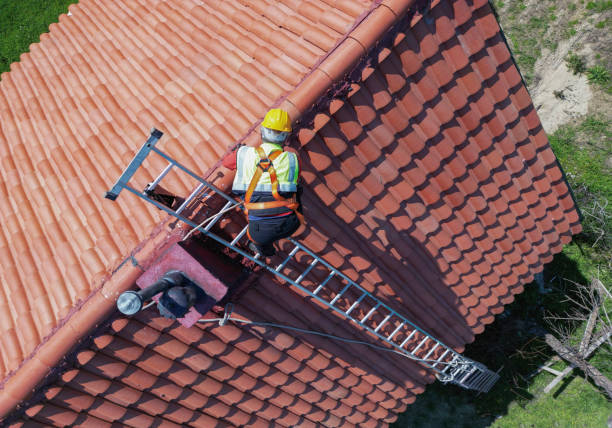 Best Skylight Installation and Repair  in Del Rio, CA